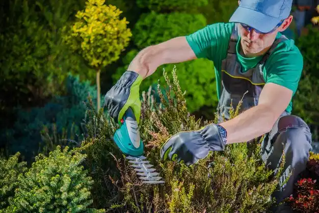 landscaping services Montague